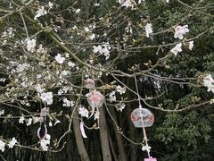 -凤凰沟景区