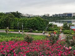 -立新湖公园