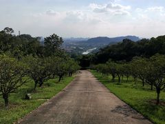-广州莲花山旅游区