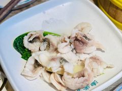 招牌鲜鱼片-淘米捞·米汤脆鲩鱼火锅(福田皇岗店)