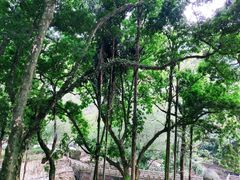 -飞霞风景名胜区