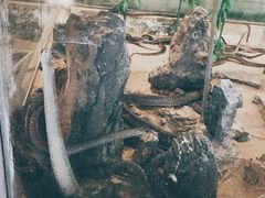 -荔城生鲜盛宴(番禺旗舰店)