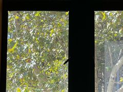 -星巴克(红房子店)