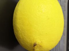 柠檬-乐乐鲜果水果超市(河北店)