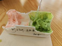 -野人先生Gelato(上海长宁龙之梦店)