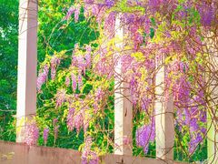 -福州大学(旗山校区)