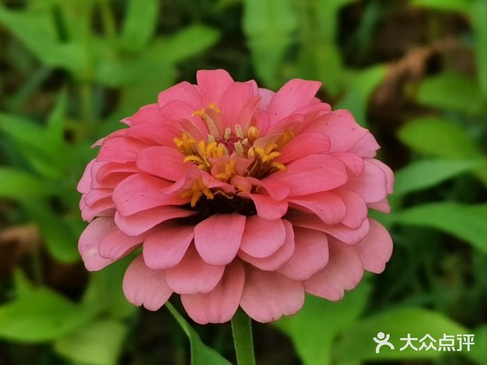 南海子公园图片