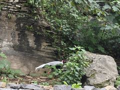 -高荡千年布依古寨旅游景区