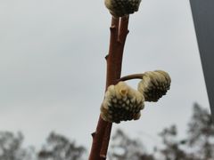 -东湖生态旅游风景区
