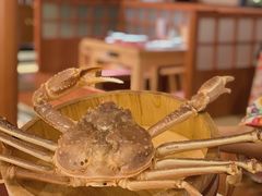 松叶蟹-蟹田居·活蟹料理(东城店)