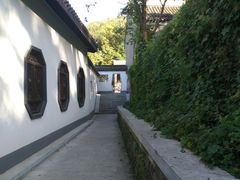 -镇江市南山风景名胜区竹林景区