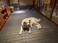-大江户·温泉洗浴(浑南店)