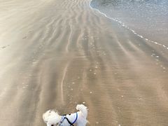 -嵊泗基湖沙滩