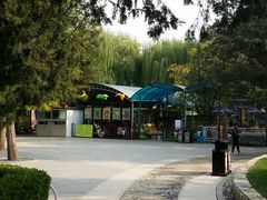 -团结湖公园