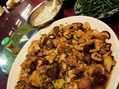 -生态苑农庄(十里画廊遇龙河店)