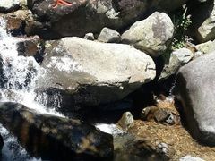 android_upload_pic-太湖源风景区
