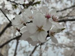 -西北湖绿化广场