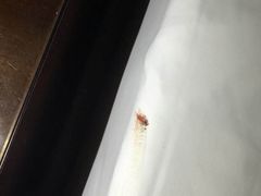 -苏州环秀晓筑养生度假村
