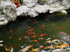 -西林禅寺
