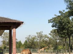 -石家庄市动物园