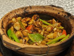 -天宝食坊·啫啫煲大排档(西华路店)