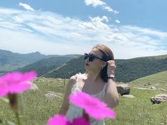 -蔚县茶山村