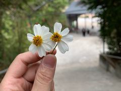 -马头山