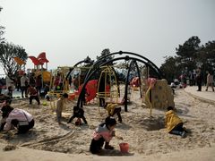 -铁山坪森林公园