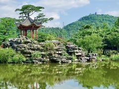 -顺峰山公园