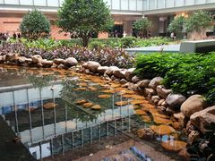 -香港大学