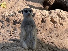 -北京野生动物园