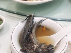 -舌尖上·霞浦滩涂海鲜·新闽菜(总店)