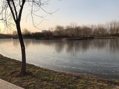 -东郊湿地公园