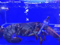 -港迹·鲜围煮海鲜火锅(湖州时代广场店)