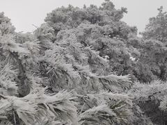 -浙西天池景区