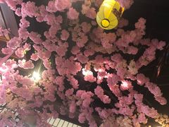 -尺山寸水日料(马桥满天星店)