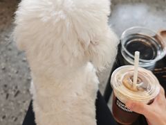 -CoffeeVendor(西乡店)