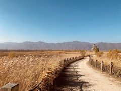 -野鸭湖国家湿地公园