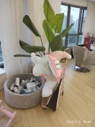 -E.L.K造型momopark店