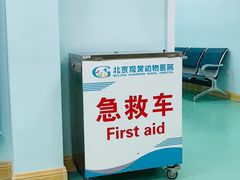 -北京观赏动物医院·24小时大型综合·猫专科·异宠专科