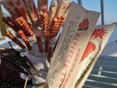 -青岛嘉年华主题乐园
