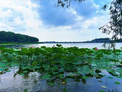 -丁香湖公园