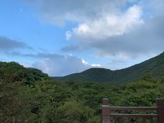 -大围山国家森林公园