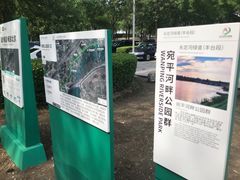 -绿堤公园