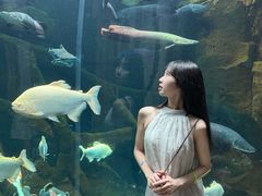 -哈尔滨波塞冬海底世界