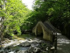 -牛背梁国家森林公园
