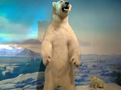 -陕西自然博物馆