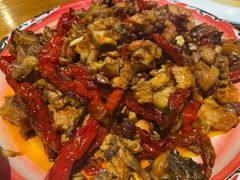 -柴窝堡22号辣子鸡·传承新疆菜