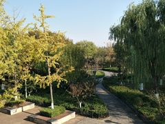 -大兴滨河森林公园