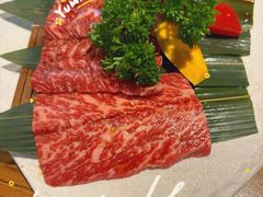 特上等横隔膜-炼火烤肉店